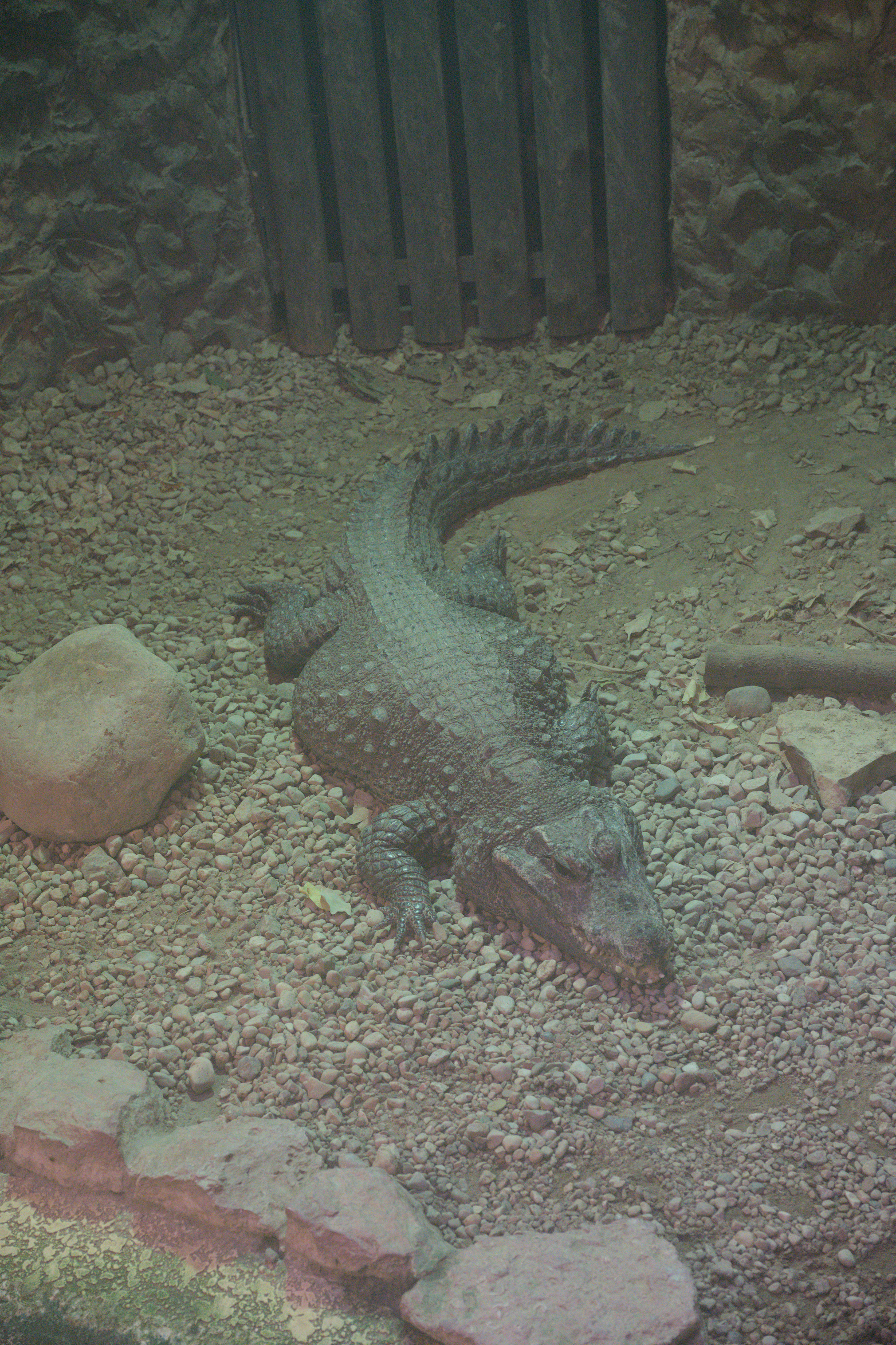 2025/10/12 - zoo/DSC_0155.jpg